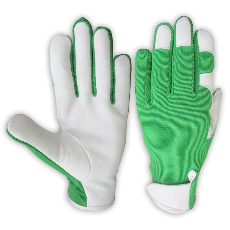 PARROT GREEN DRIFTER